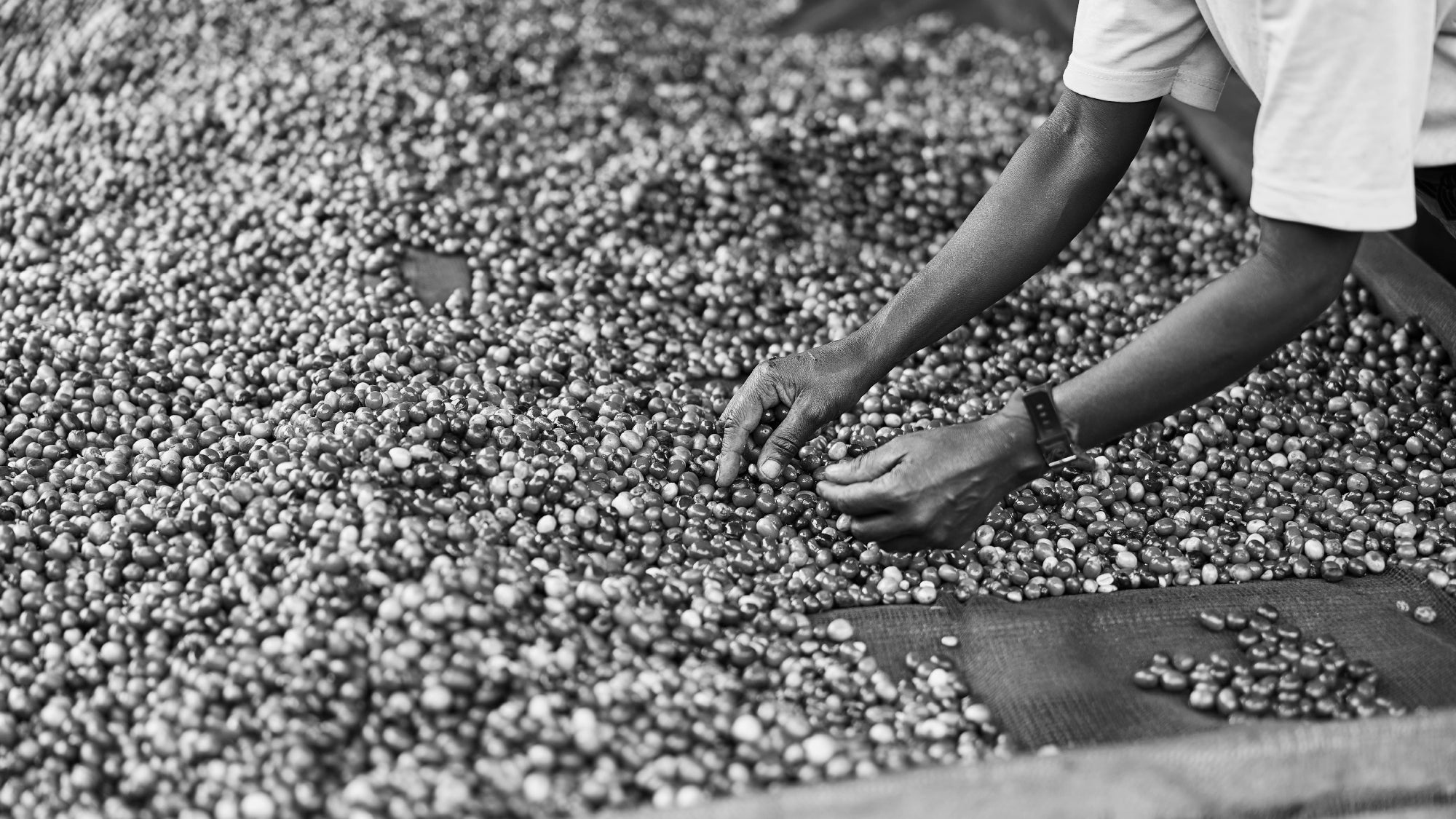 Local Love: Supporting SA Skincare Brands